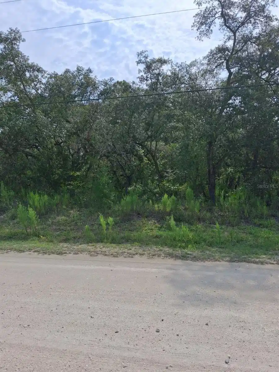 Image 1 Image 1