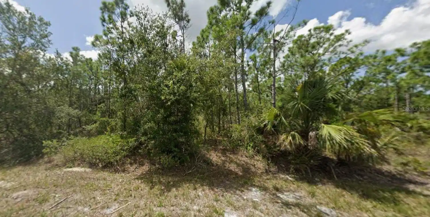 Image 1 Image 1