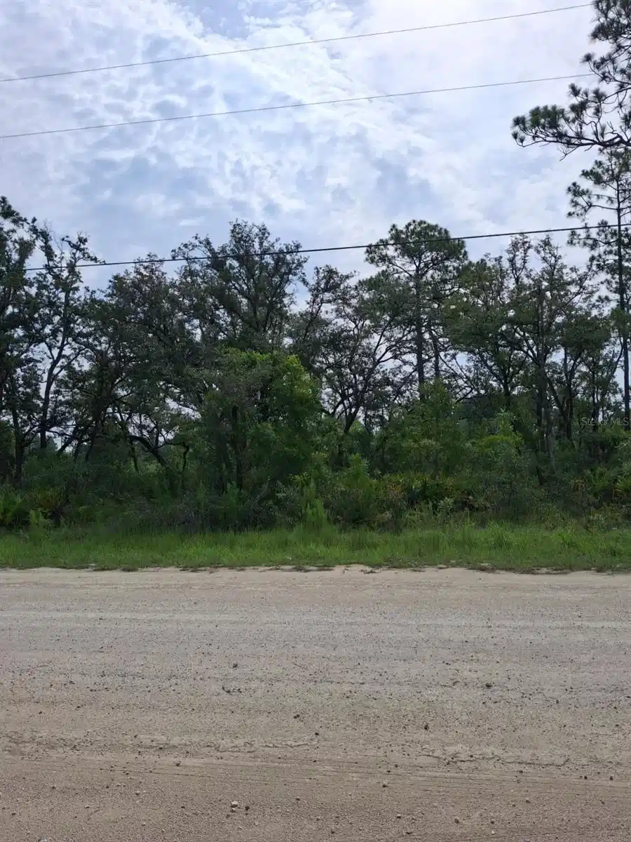 Image 1 Image 1