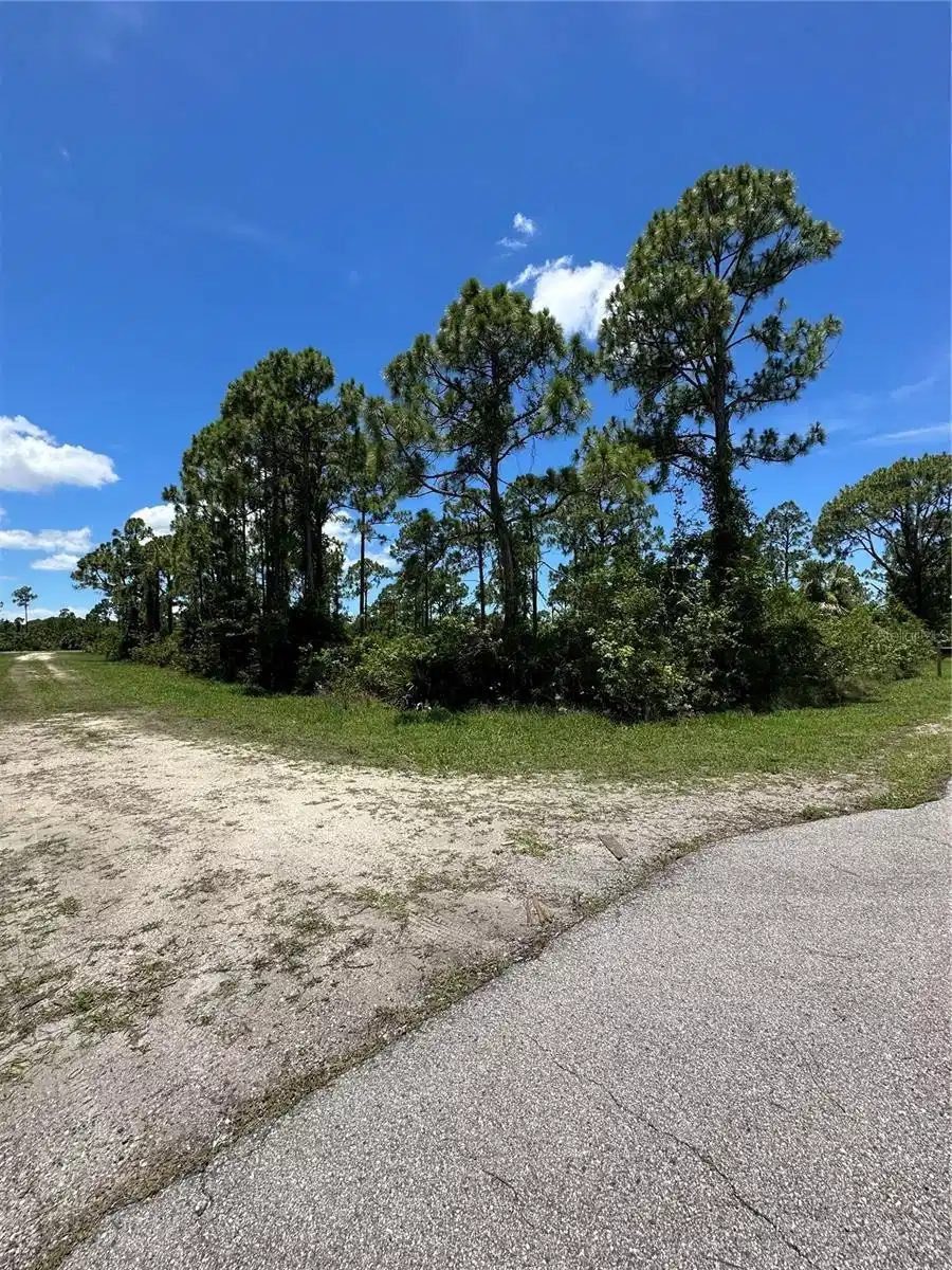 Image 1 Image 1
