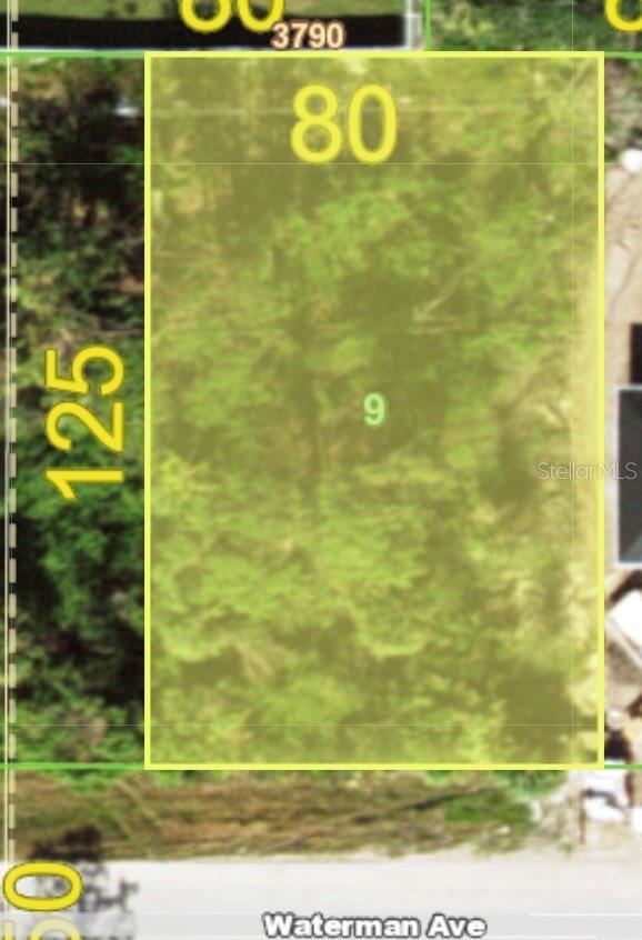 Image 1 Image 1