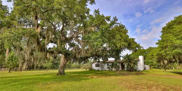 314 CAROL ANN DRIVE