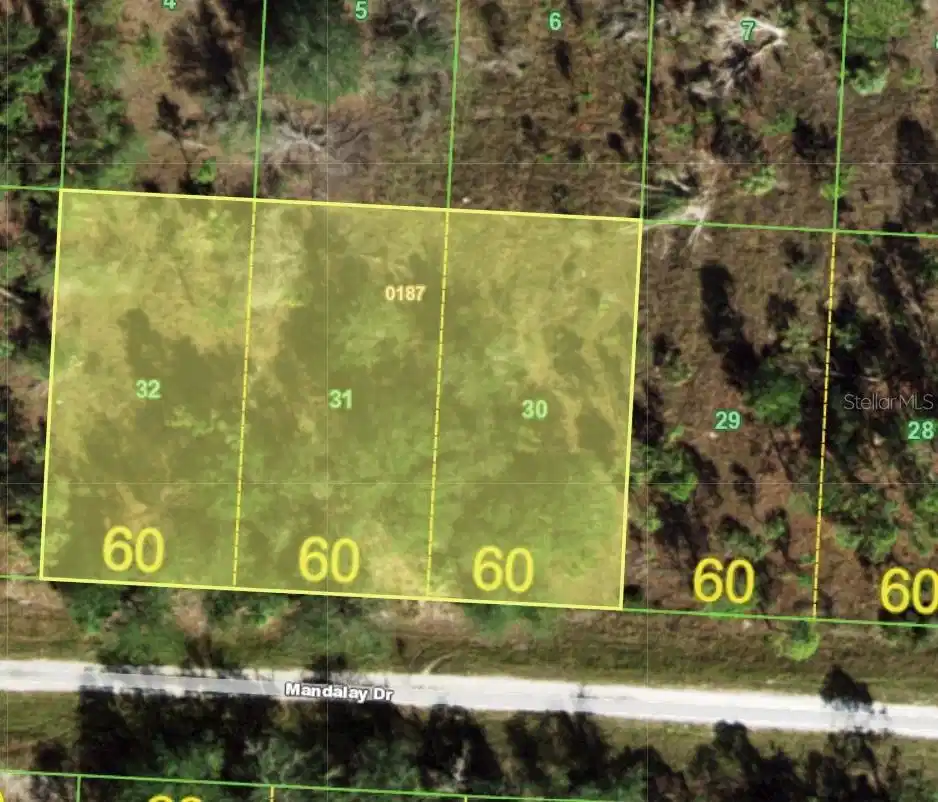 Image 1 Image 1