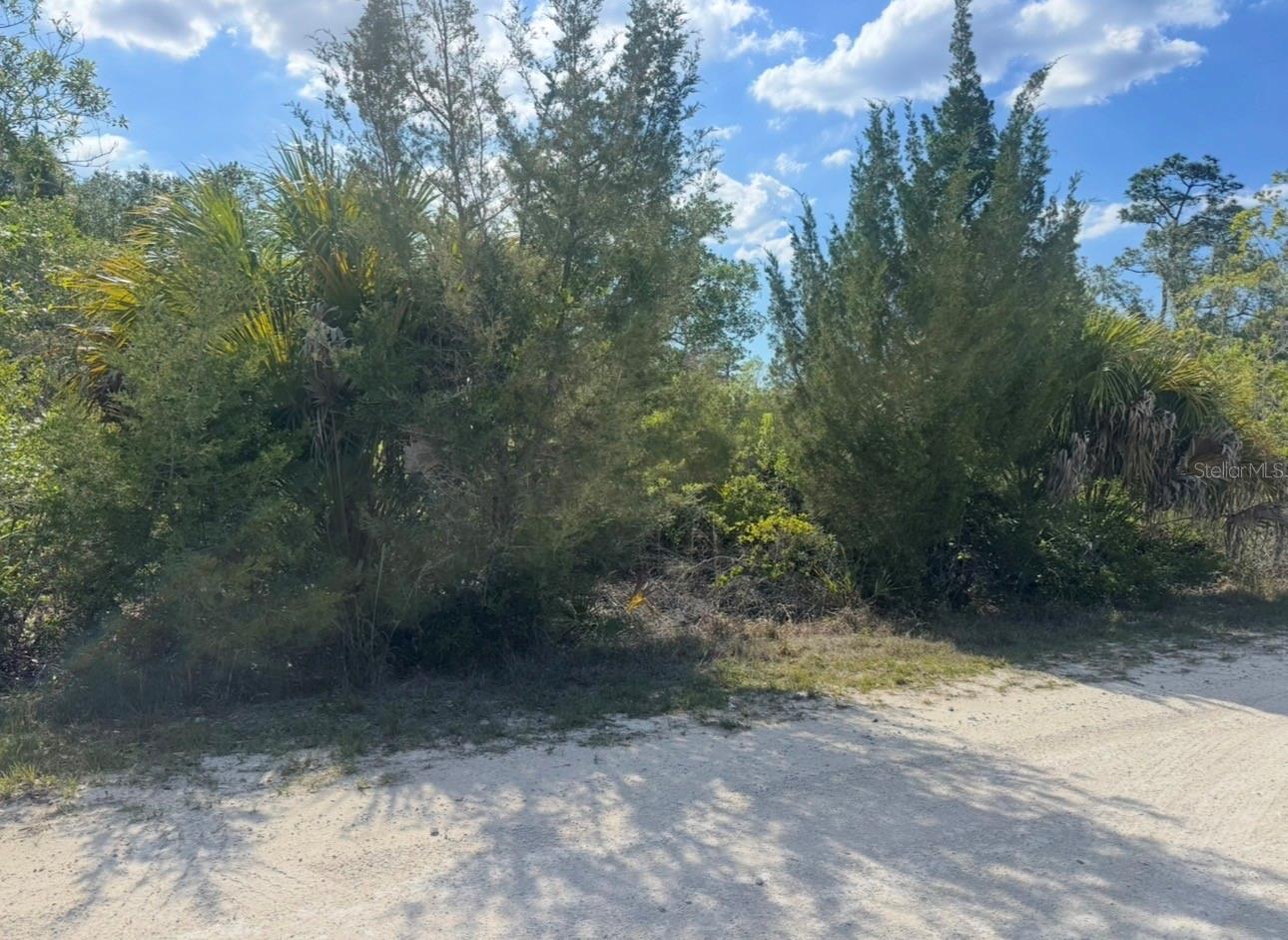 Image 4 Image 4