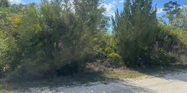Image 4 Image 4