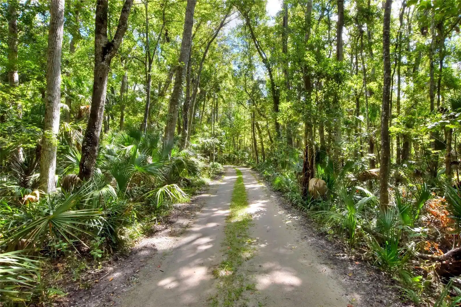 Image 1 Image 1