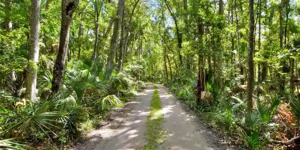 PINE ISLAND DRIVE