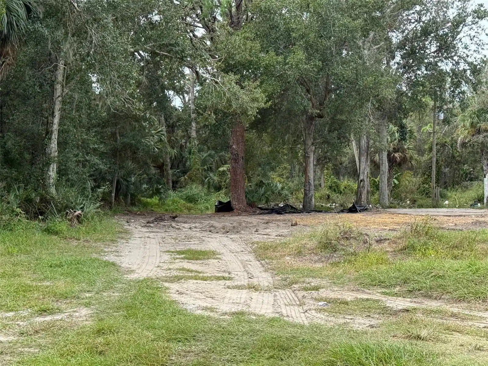 Image 1 Image 1