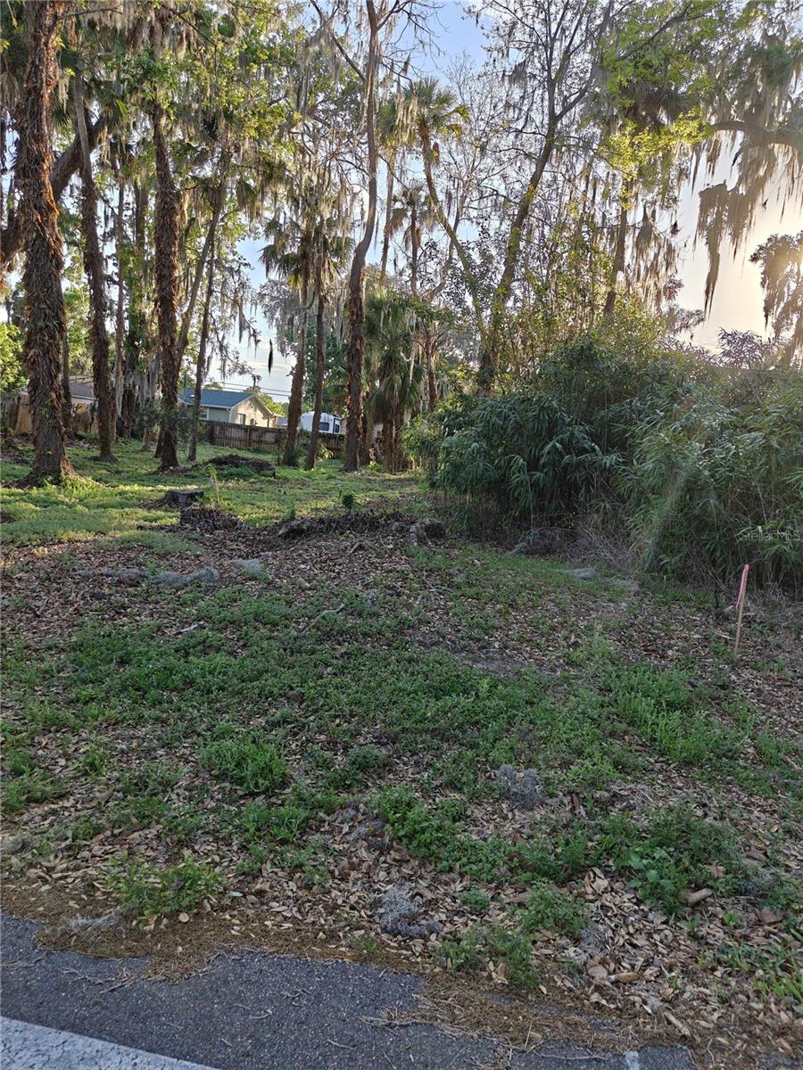 Image 1 Image 1
