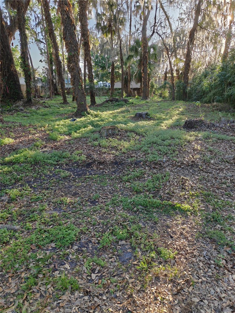 Image 3 Image 3