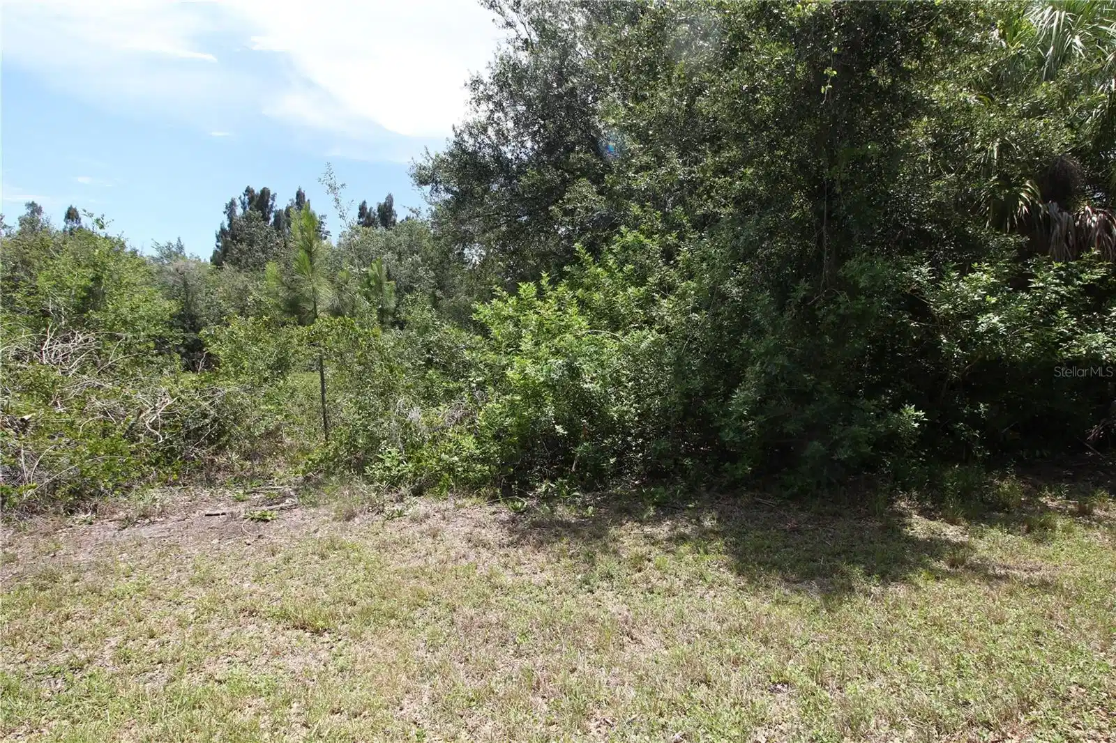 Image 1 Image 1