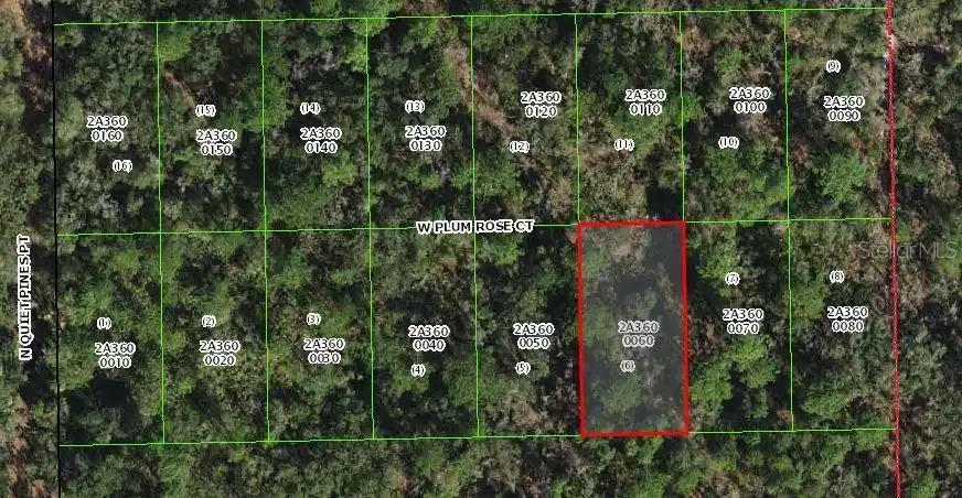 Image 1 Image 1