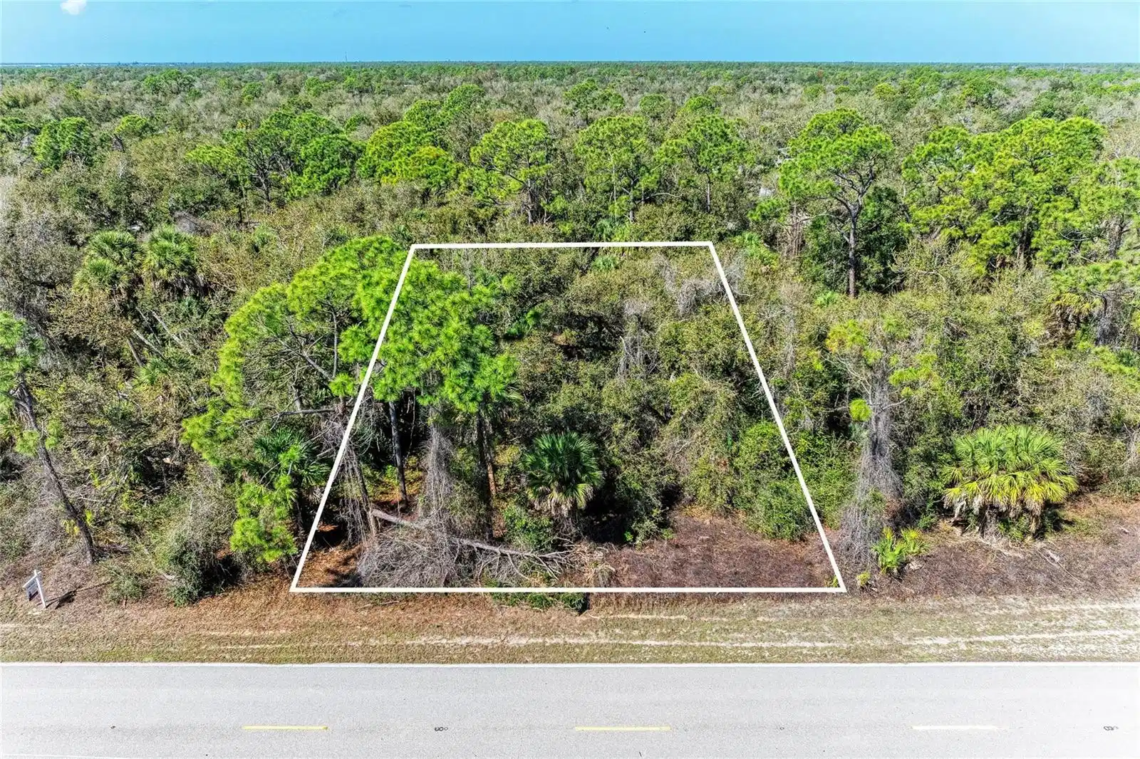 Image 1 Image 1