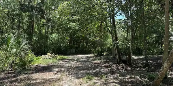 Image 4 Image 4