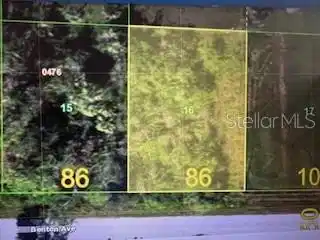 Image 1 Image 1