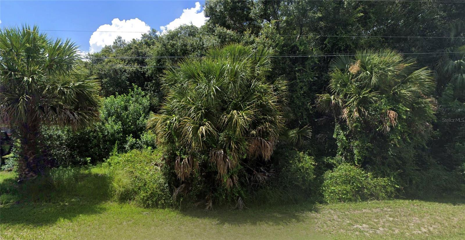 Image 1 Image 1