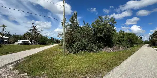 Image 4 Image 4
