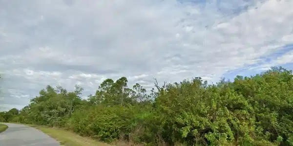 Image 2 Image 2