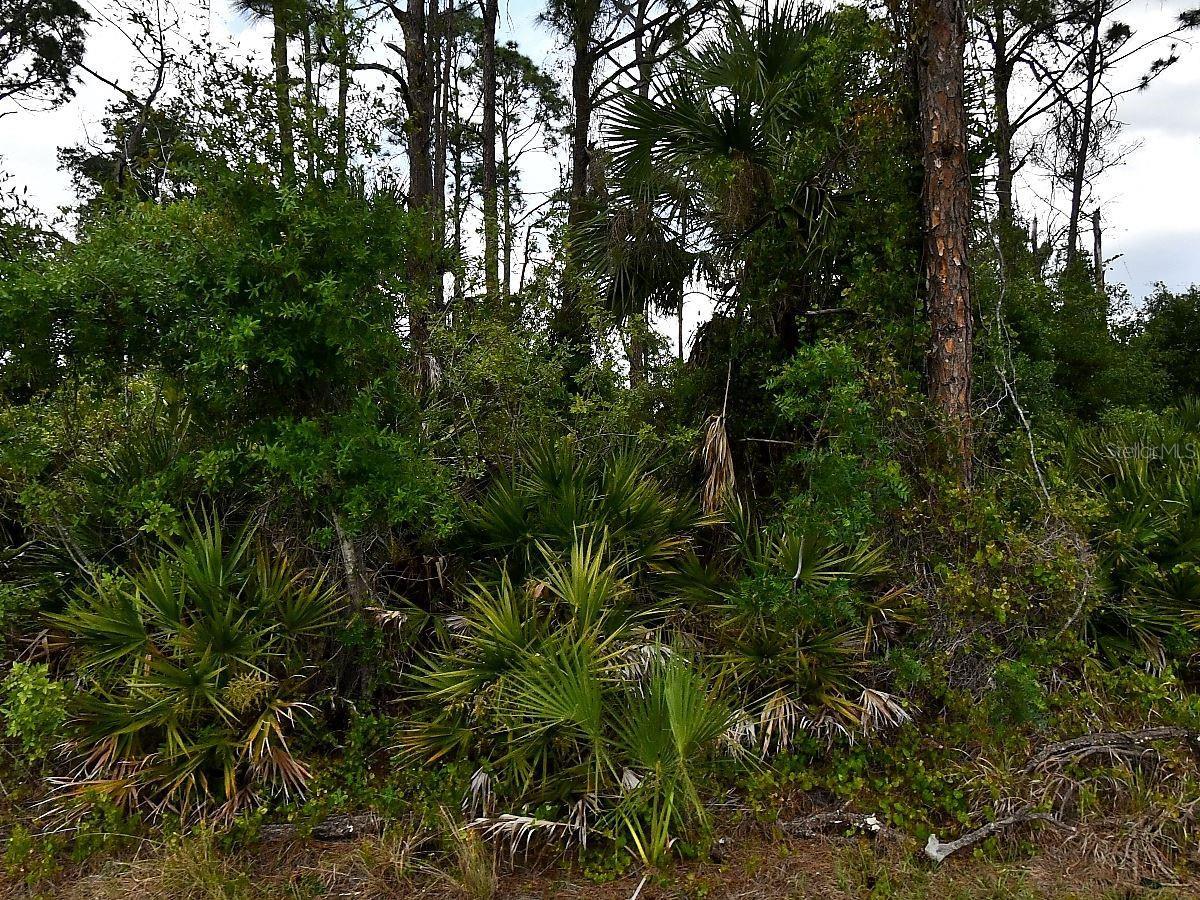 Image 1 Image 1