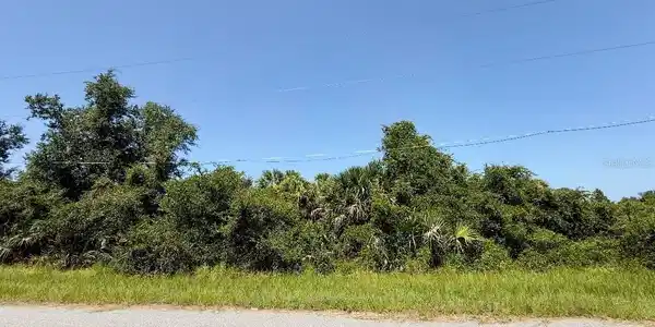 Image 4 Image 4