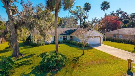 2019 ORANGE TREE DRIVE