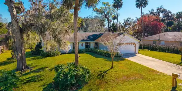 2019 ORANGE TREE DRIVE