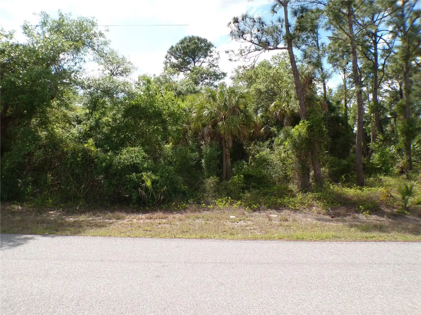 Image 1 Image 1