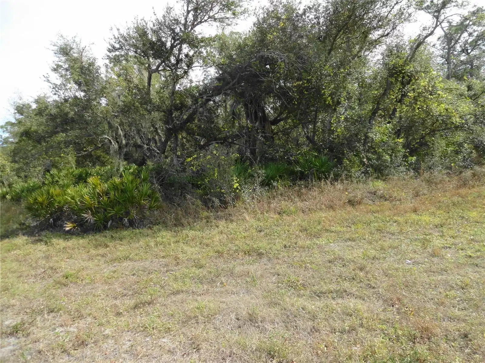 Image 1 Image 1