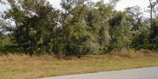 Image 3 Image 3