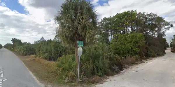 LONG LAKE AVENUE