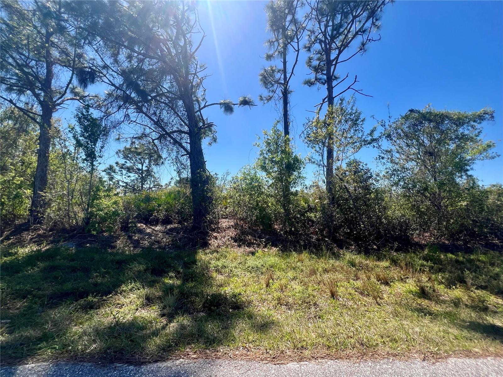 Image 1 Image 1