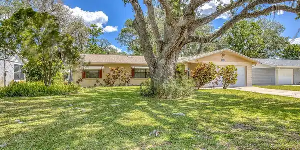 1855 PINE TREE DRIVE