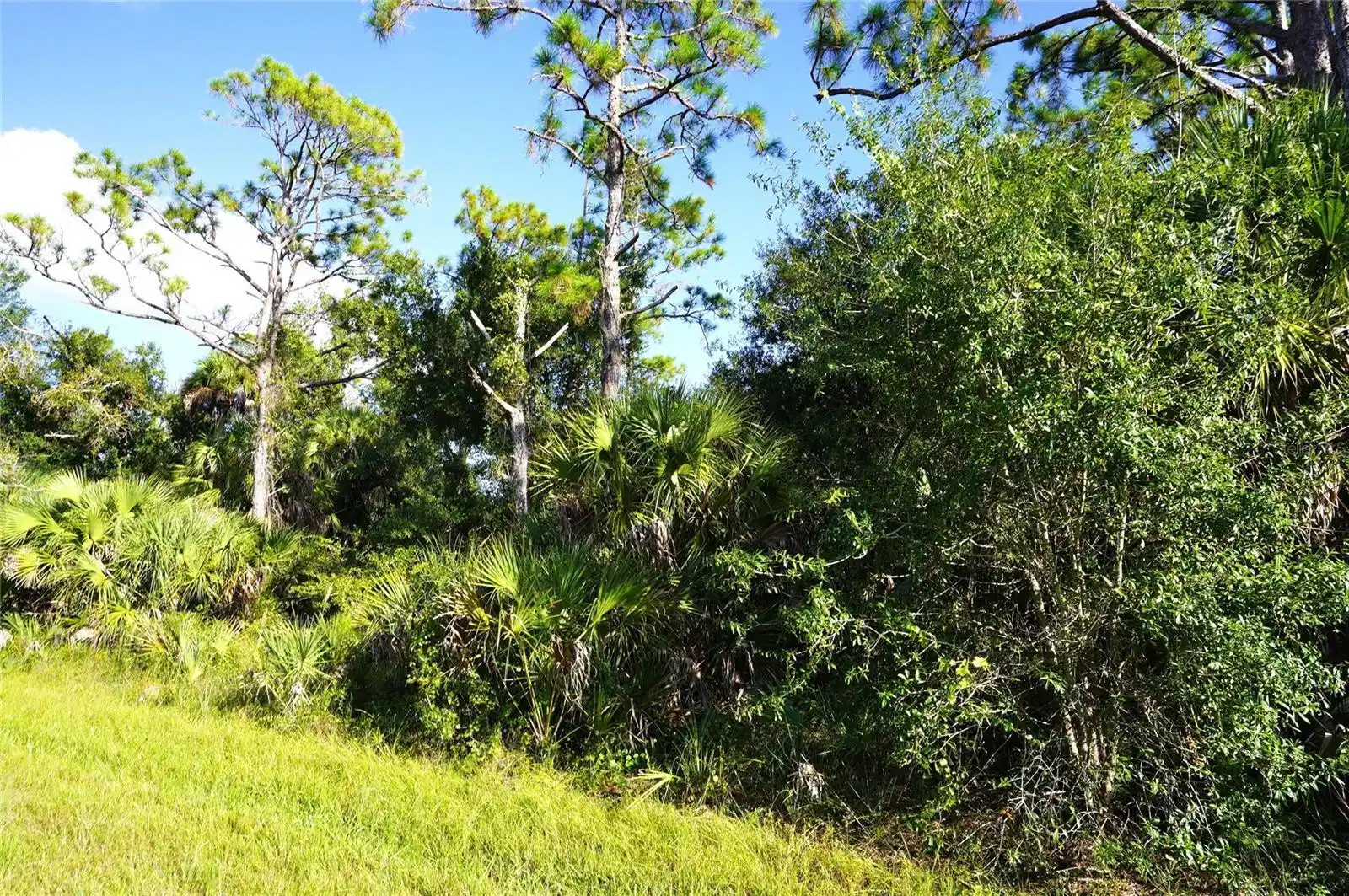 Image 1 Image 1