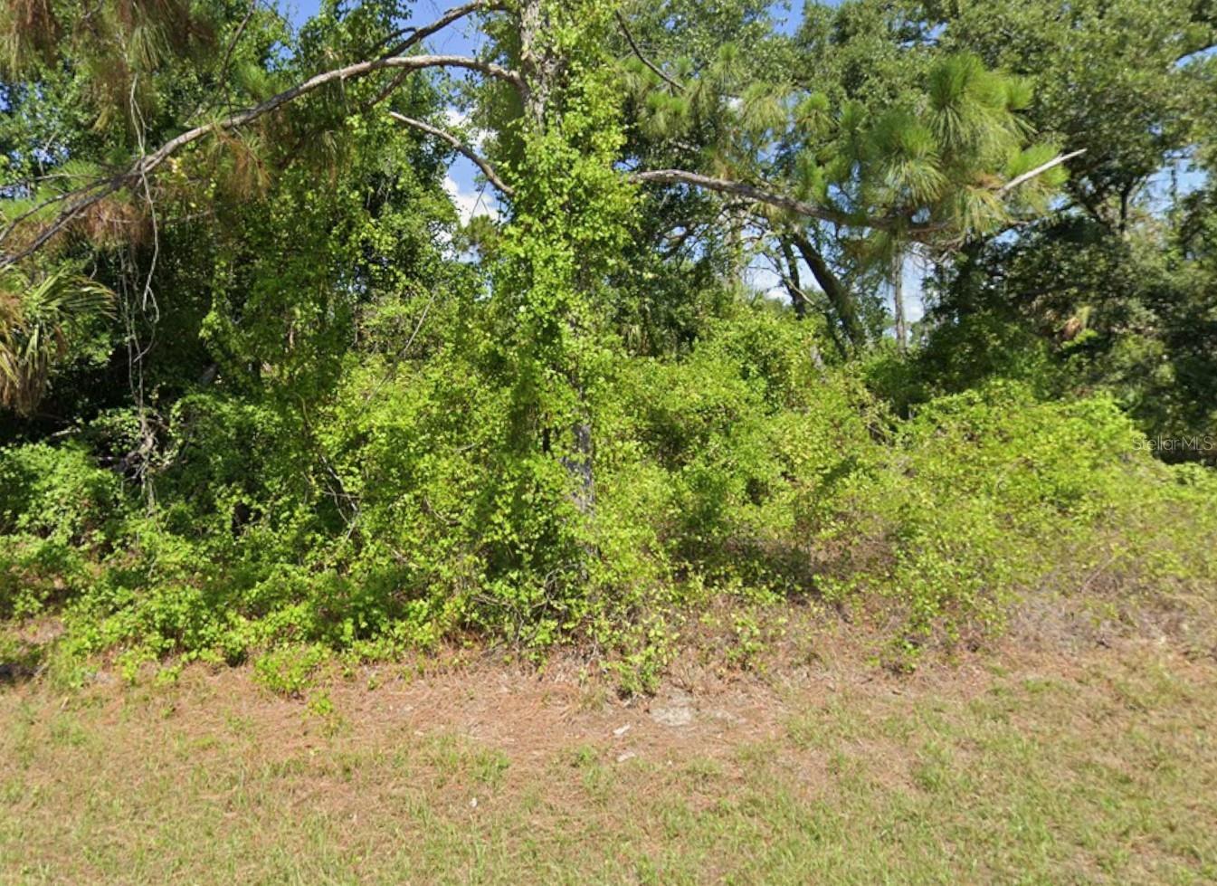 Image 3 Image 3