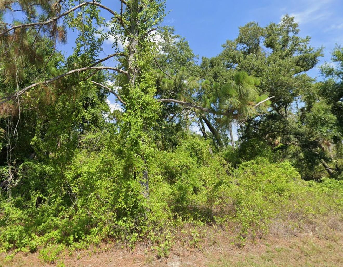Image 4 Image 4
