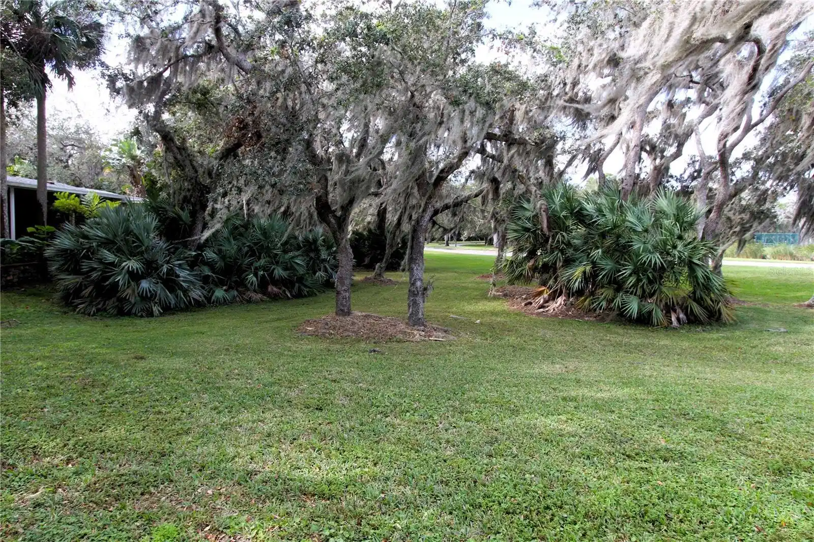 Image 1 Image 1