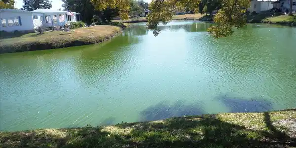 172 CLUBVIEW DRIVE