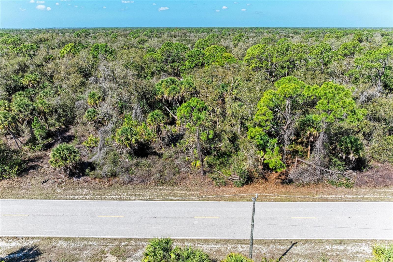 Image 1 Image 1