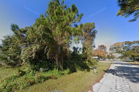 1328 UMBRELLA TREE DRIVE
