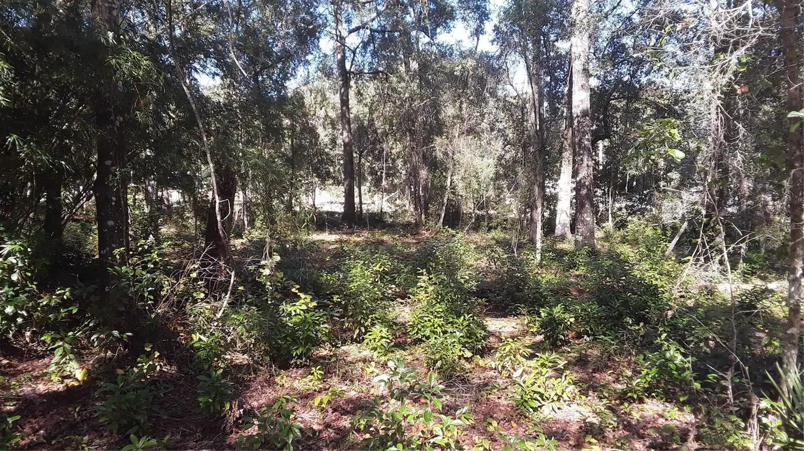 Image 1 Image 1