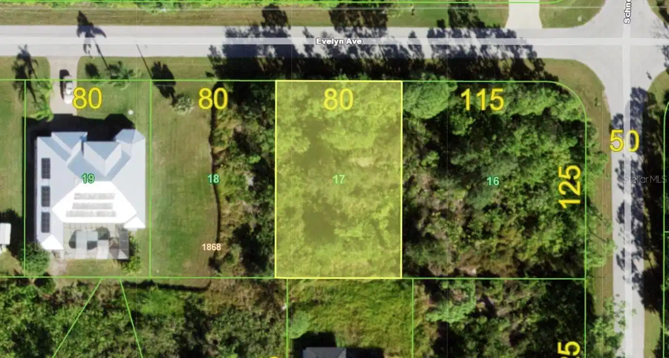 Image 1 Image 1