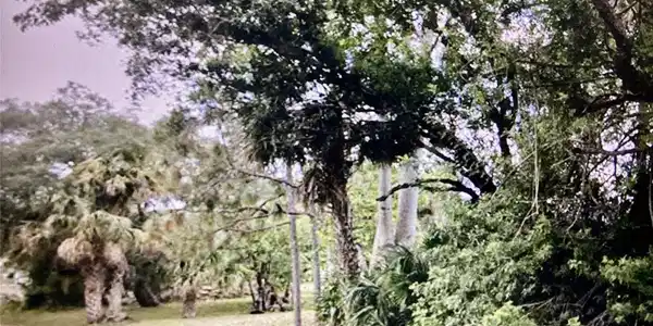 Image 3 Image 3