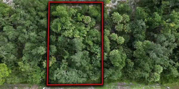 Image 3 Image 3