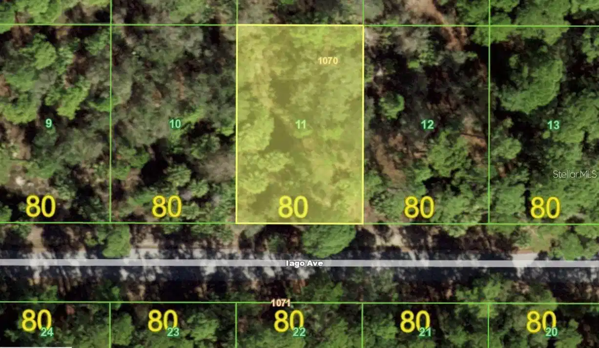 Image 1 Image 1