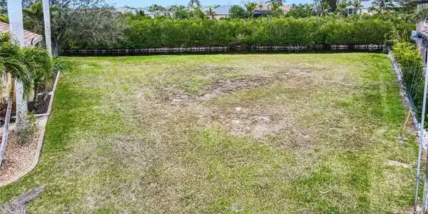 Image 4 Image 4