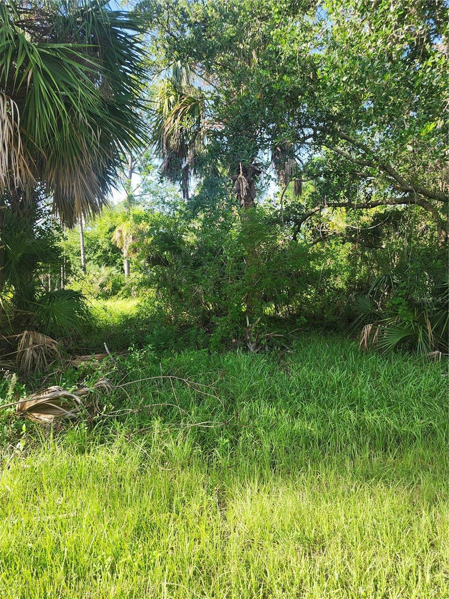 Image 1 Image 1