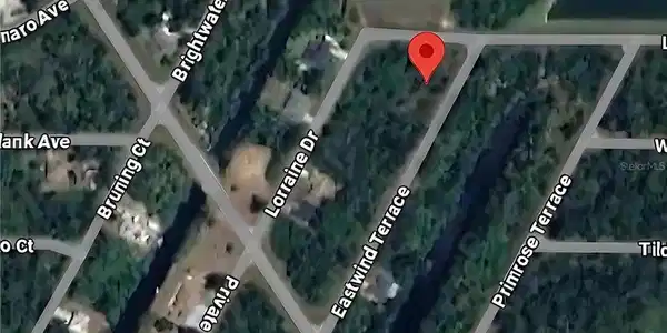Image 4 Image 4
