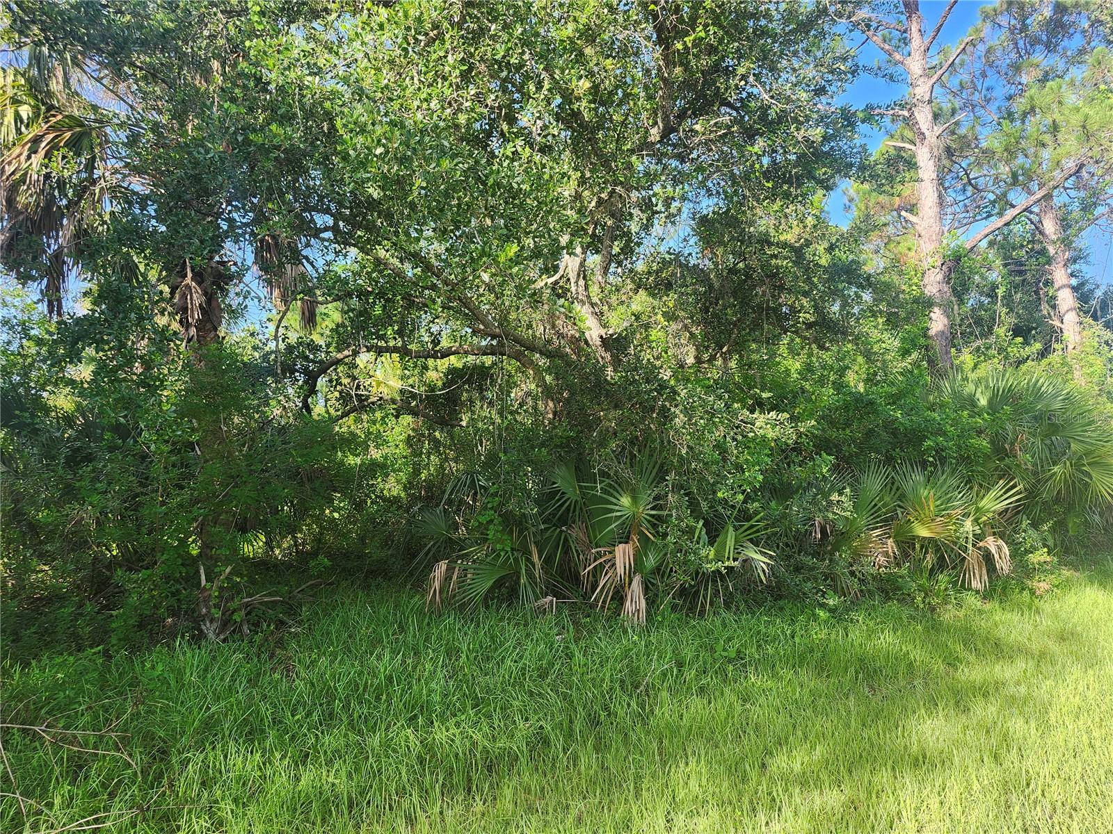 Image 1 Image 1