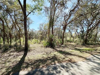 TBD NW 110TH CIRCLE, LOT 3