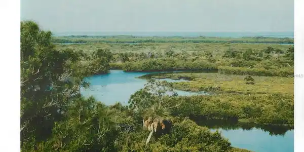 Image 4 Image 4